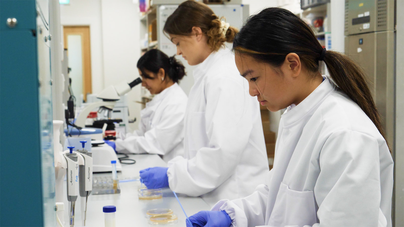 Oculer provides Expert Technical Supports and Resources     Image