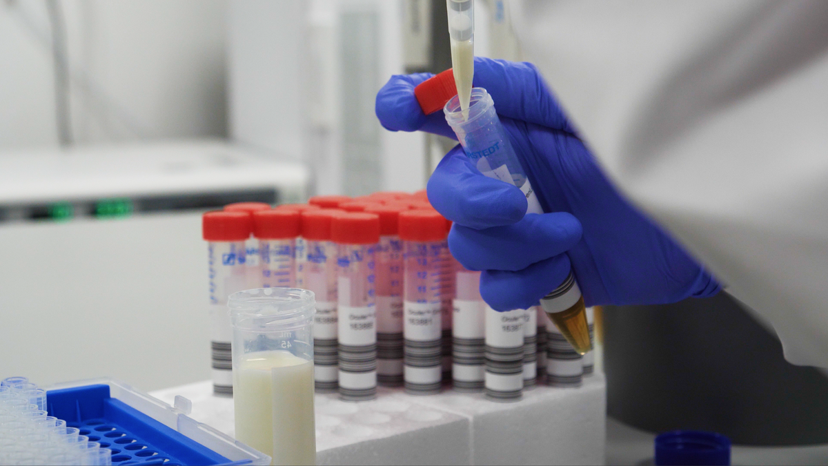 Add sample to vial containing pre-prepared sterile media.  Image