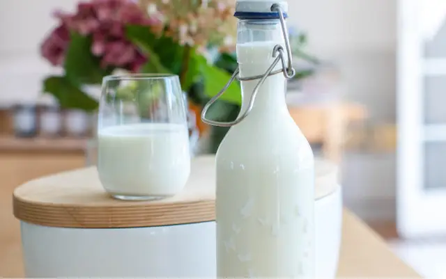 Extended Shelf Life Dairy products Image